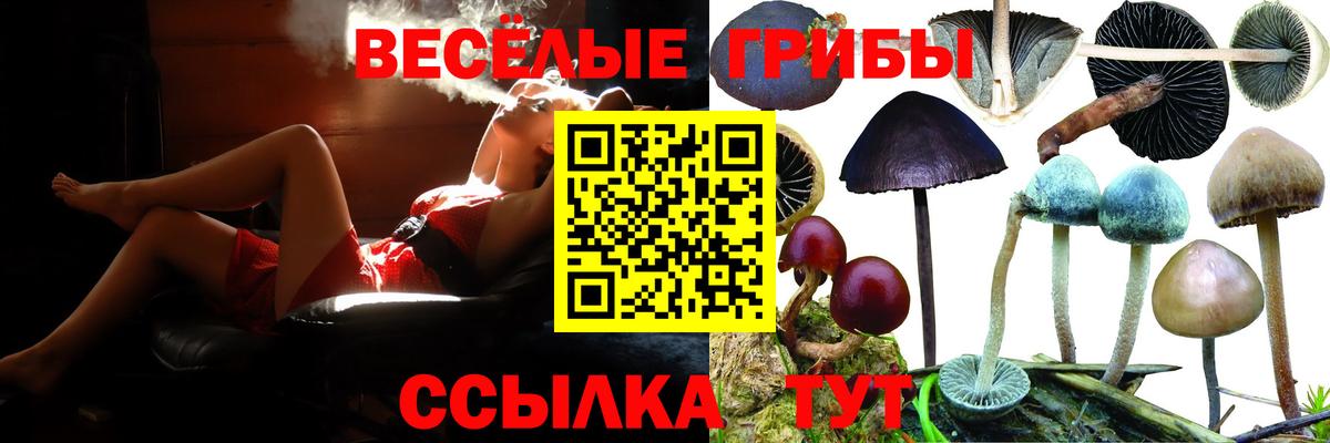 Псилоцибиновые грибы ЛСД Гуково